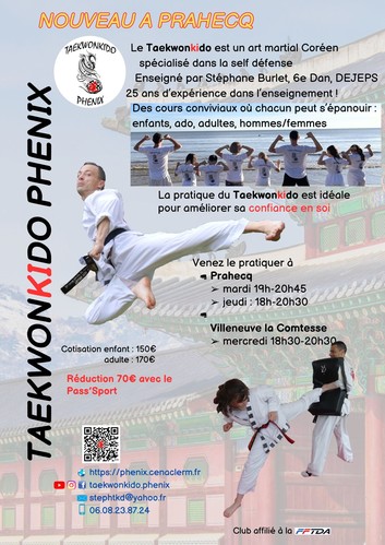 Flyer Taekwonkido Phenix